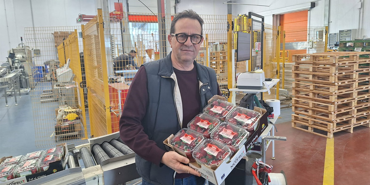 Francesco Nicodemo, presidente dell’OP Frutthera Growers